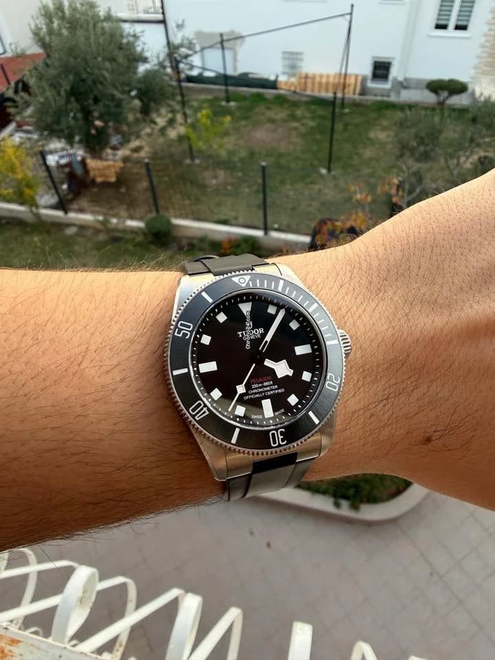 Tudor Pelagos