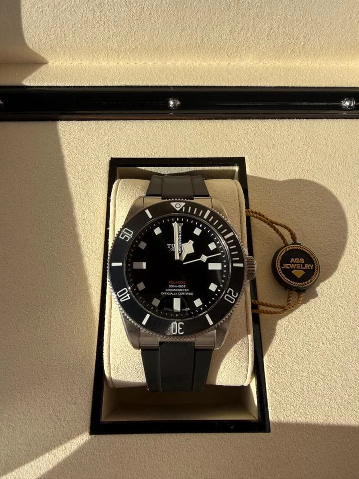 Tudor Pelagos - Thumbnail 2